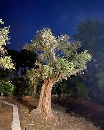 Villa Lucia Skala Rachoni (Thasos)