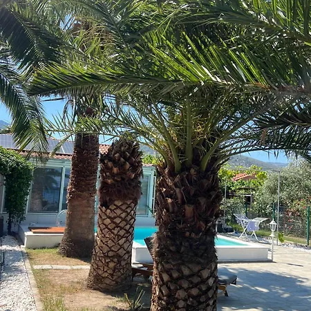 Lucia Willa Skala Rachoni (Thasos)